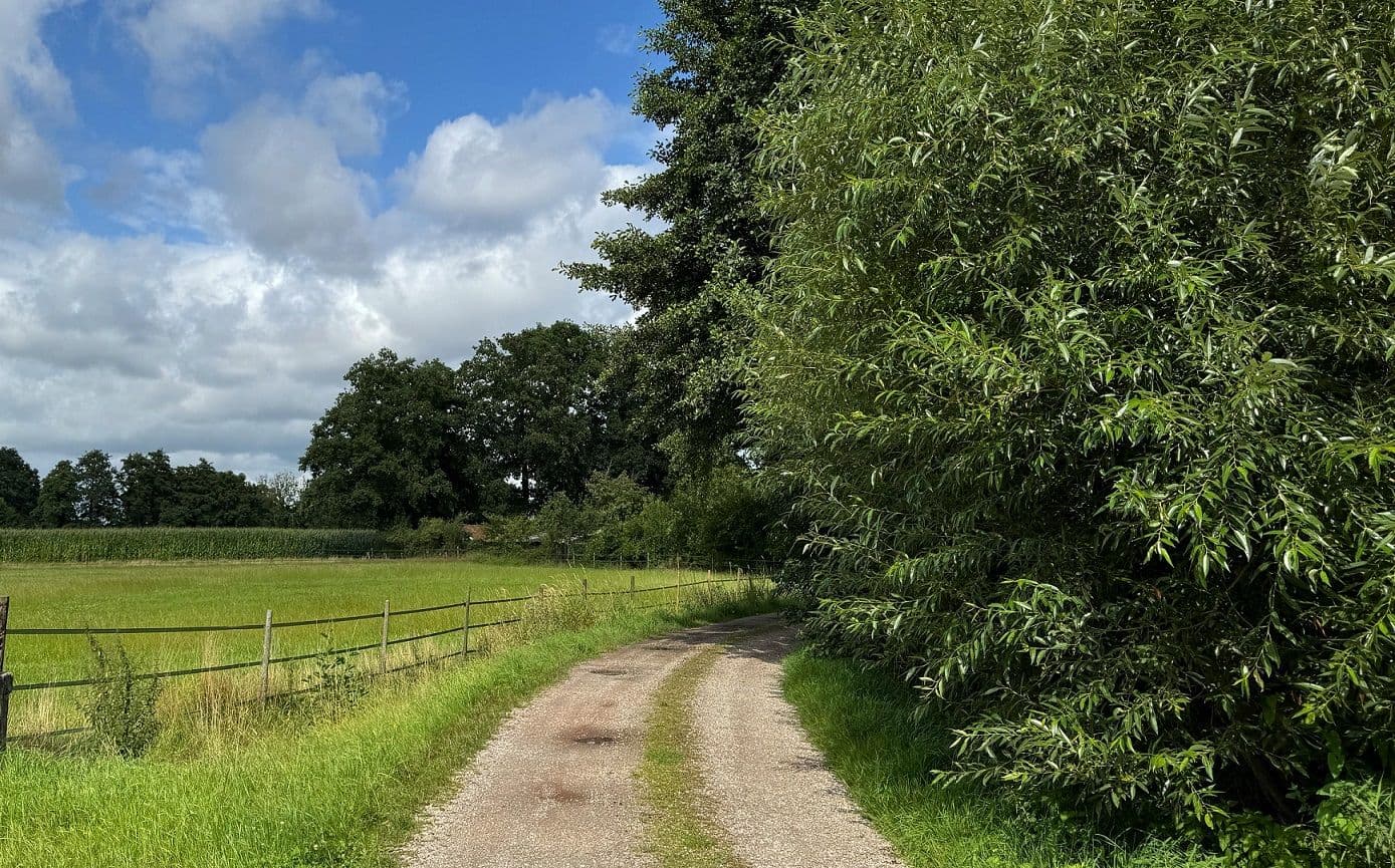 Twents landschap met weg de hoek om
