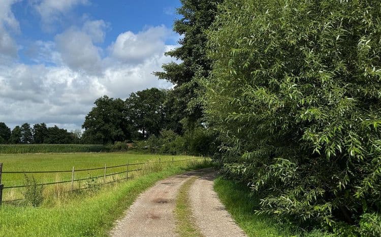 Twents landschap met weg de hoek om